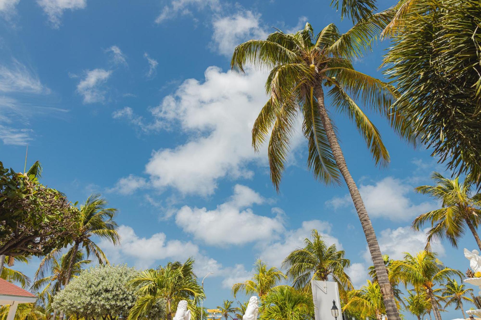 Amsterdam Manor Beach Resort Palm Beach Esterno foto