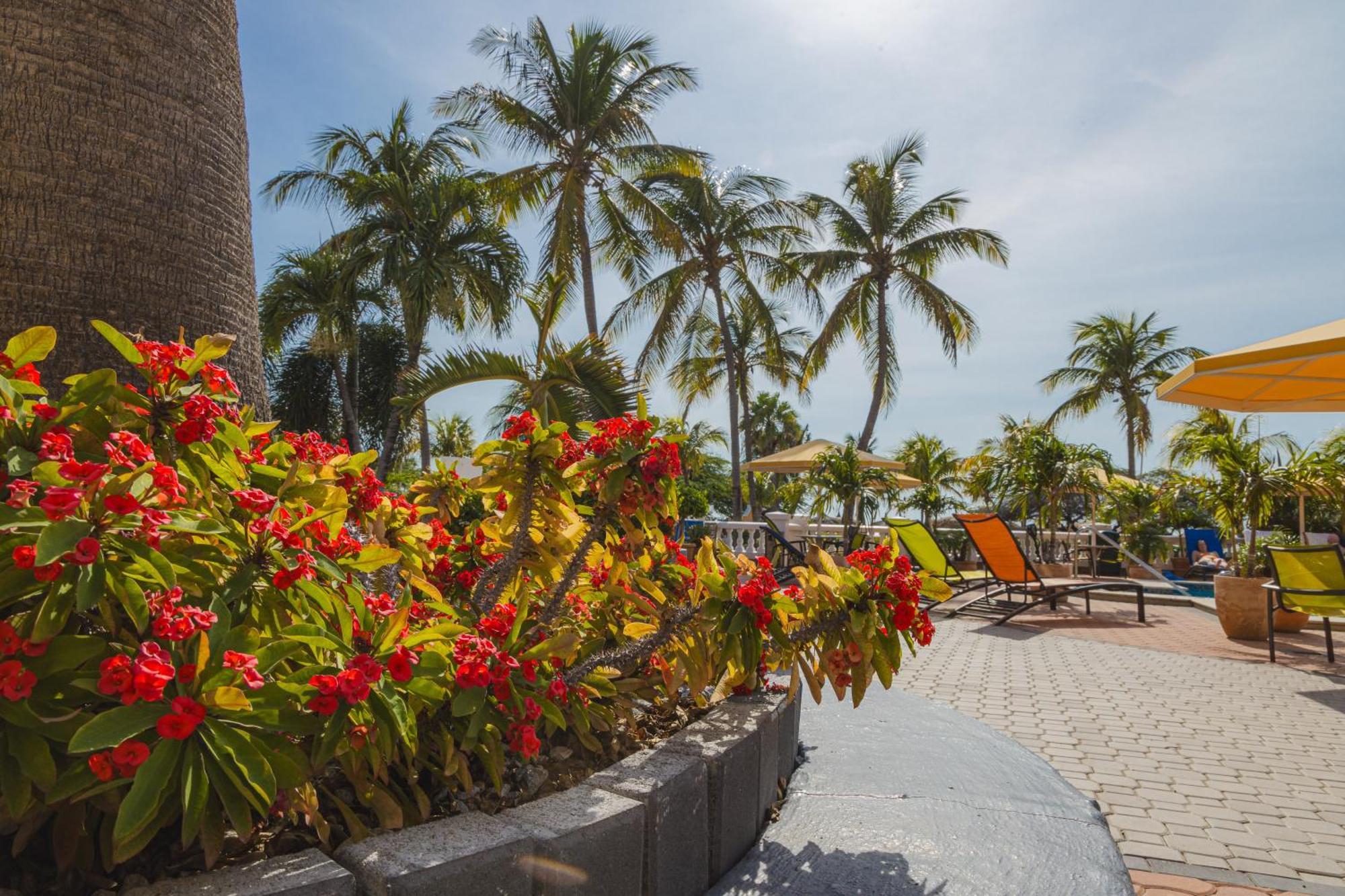 Amsterdam Manor Beach Resort Palm Beach Esterno foto