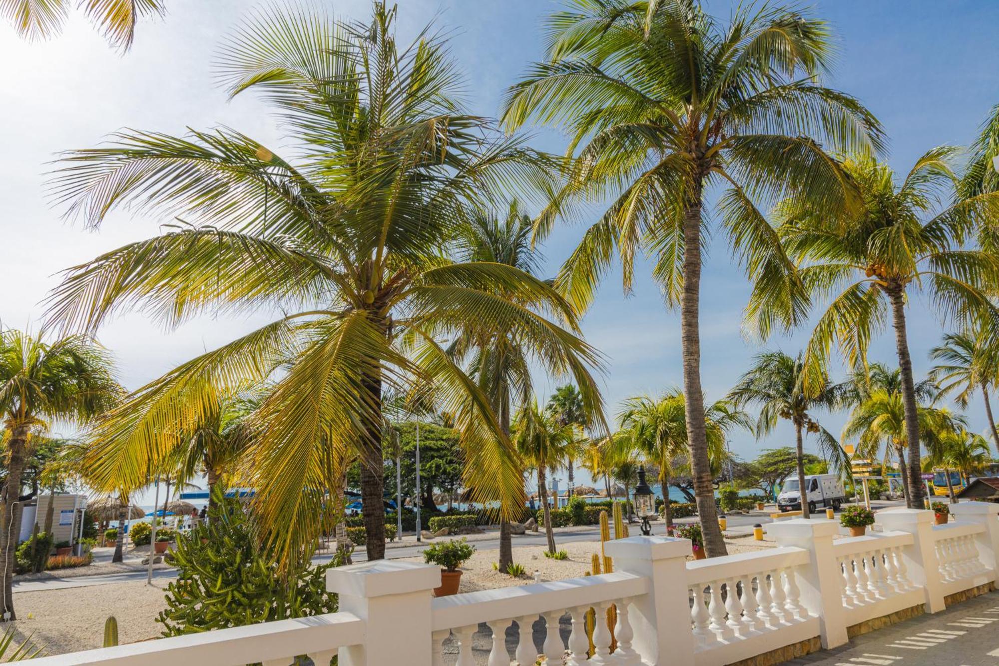 Amsterdam Manor Beach Resort Palm Beach Esterno foto